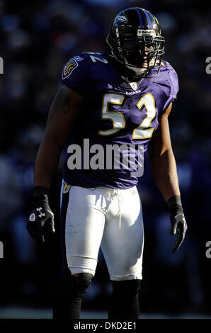 30 octobre 2011 - Baltimore, Maryland, États-Unis - Baltimore Ravens à l'intérieur de secondeur Ray Lewis (52) se dresse entre joue pendant un match de la NFL entre les Ravens de Baltimore et les Arizona Cardinals (crédit Image : © TJ/ZUMApress.com) Southcreek/Racine Banque D'Images