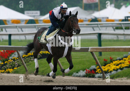 14 mai 2009 - Baltimore, Maryland, USA - Papa Clem revient sur la piste à Pimlico tôt le matin. Papa Clem, formés par G. Stute, a terminé 4e au derby du Kentucky. (Crédit Image : © James Berglie/ZUMA Press) Banque D'Images