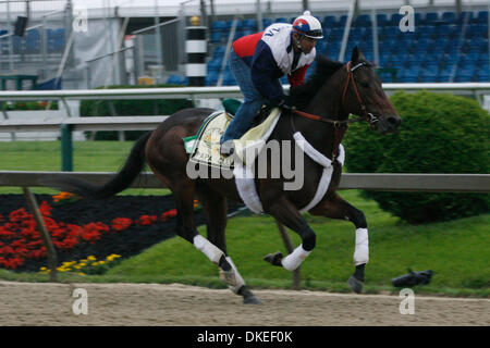 14 mai 2009 - Baltimore, Maryland, USA - Papa Clem revient sur la piste à Pimlico tôt le matin. Papa Clem, formés par G. Stute, a terminé 4e au derby du Kentucky. (Crédit Image : © James Berglie/ZUMA Press) Banque D'Images