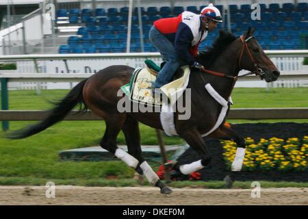 14 mai 2009 - Baltimore, Maryland, USA - Papa Clem revient sur la piste à Pimlico tôt le matin. Papa Clem, formés par G. Stute, a terminé 4e au derby du Kentucky. (Crédit Image : © James Berglie/ZUMA Press) Banque D'Images