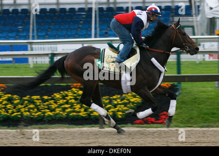 14 mai 2009 - Baltimore, Maryland, USA - Papa Clem revient sur la piste à Pimlico tôt le matin. Papa Clem, formés par G. Stute, a terminé 4e au derby du Kentucky. (Crédit Image : © James Berglie/ZUMA Press) Banque D'Images