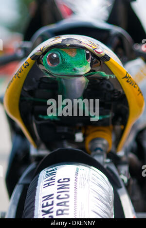 16 août 2009 - Alton, en Virginie, le pays d'événement - 16 août 2009 : AMA au Virginia International race way .Daytona motos sportives du dimanche rd2. Josh Herrin (No. 8 tombes de l'équipe Yamaha YZF-R6) a remporté les deux séances et a obtenu le titre de Grand Kahuna pour balayer les courses du week-end au Virginia International Raceway. (Crédit Image : © Mark Abbott Global/ZUMApress.com)/Southcreek Banque D'Images