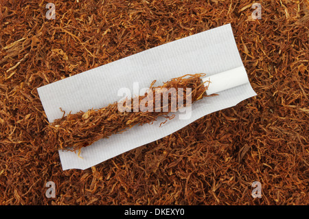 Partie de la cigarette roulée sur un fond de tabac Banque D'Images