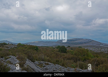 Mullaghmore, 180m d'une colline calcaire dans le Burren, une région ou un paysage karstique-Glenquin,alvar, comté de Clare, République d'Irlande. Banque D'Images