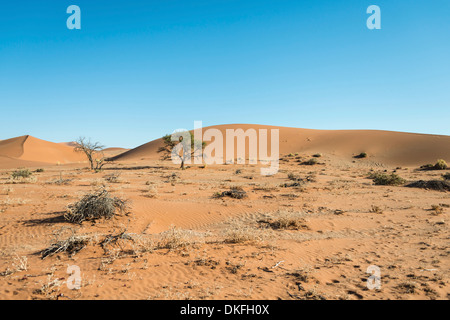 Dunes, Sossusvlei, Namib-Skeleton Coast National Park, Namibie Banque D'Images