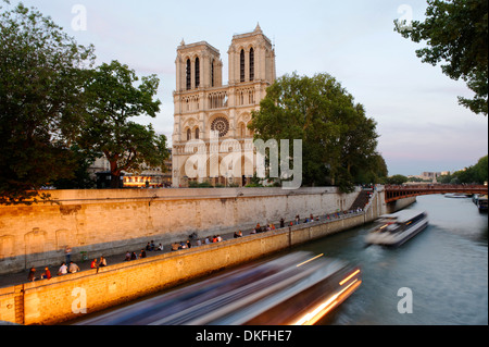 Cathédrale Notre-Dame de Paris dans la lumière du soir dernier, sur l'Île de la Cité et de la Seine, Paris, Ile-de-France, France Banque D'Images