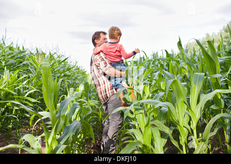 Agriculteur et son fils dans la zone de cultures Banque D'Images