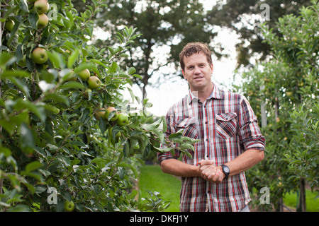 Farmer standing in apple orchard Banque D'Images