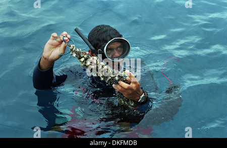 Pearl Diver dans une ferme perlière à Tahiti, Raroia Banque D'Images