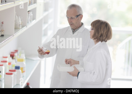 Les scientifiques qui travaillent en laboratoire, l'échantillon dans le flacon en verre Banque D'Images