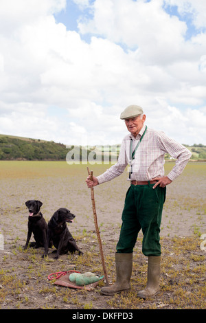 Portrait of senior man avec deux labradors noirs Banque D'Images