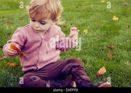 Toddler sitting on grass looking at autumn leaf Banque D'Images