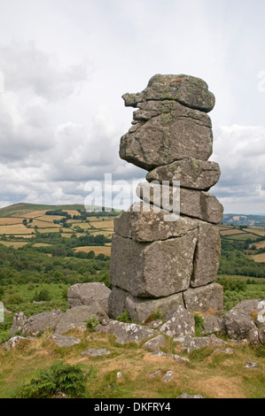 Nez Bowermans s sentinel sur les pentes nord de Hayne, Dartmoor, avec Easdon vers le bas pour le nord Banque D'Images