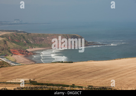 Pease Bay, sur la côte est, dans le Berwickshire, Ecosse, Royaume-Uni, Europe Banque D'Images