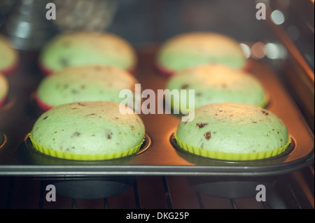 Muffins à la menthe, Ottobrunn, Bavaria, Germany, Europe Banque D'Images