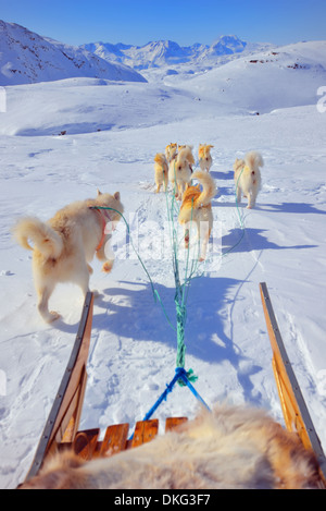 Traîneau à chien au printemps au Groenland Banque D'Images