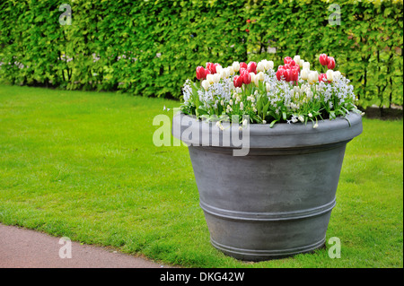 Panier de fleurs de printemps dans l'analyse de jardin Banque D'Images