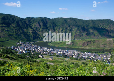 Boucle de moselle près de bremm village, Rhénanie-Palatinat, Allemagne, Europe Banque D'Images