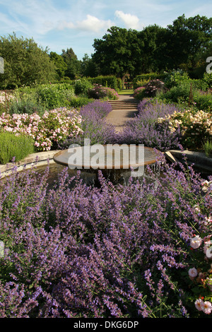 Fontaine à eau, Royal Horticultural Gardens Wisley, Woking, Surrey. Banque D'Images