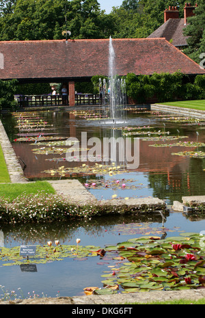 Bassin aux nymphéas, Royal Horticultural Gardens Wisley, Woking, Surrey. Banque D'Images