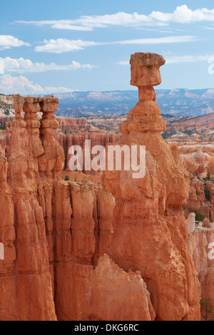 Hoodoo, Bryce Canyon, Zion National Park, Utah, USA Banque D'Images