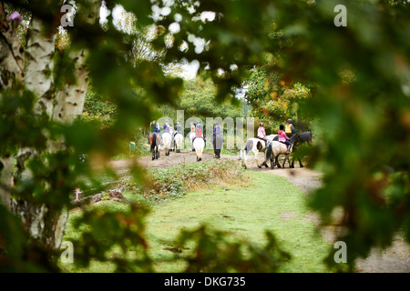 Écuyers et Chevaux sur bridleway Banque D'Images