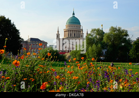 Nikolaikirche, Potsdam, Brandebourg, Allemagne, Europe Banque D'Images