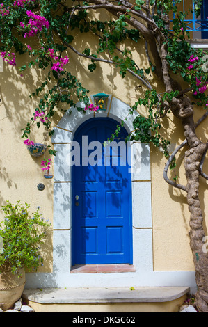 De plus en plus voûté un bougainvilliers porte sur un mur de la maison de Assos, Kefalonia, Grèce Banque D'Images