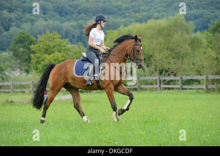 Teenage girl riding a horse Broderstorf sur un paddock Banque D'Images