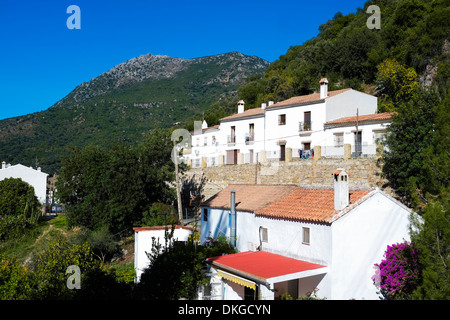 Benamahoma village blanc dans la Sierra de Grazalema, Andalousie, Espagne Banque D'Images