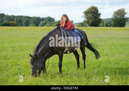 Fille sur un Haflinger arabe sur un pré Banque D'Images