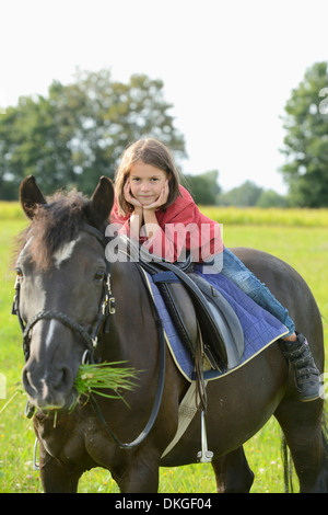 Fille sur un Haflinger arabe sur un pré Banque D'Images