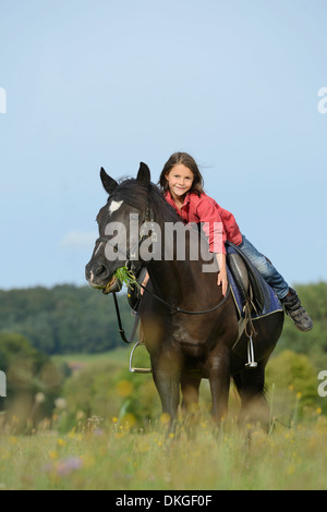 Fille sur un Haflinger arabe sur un pré Banque D'Images