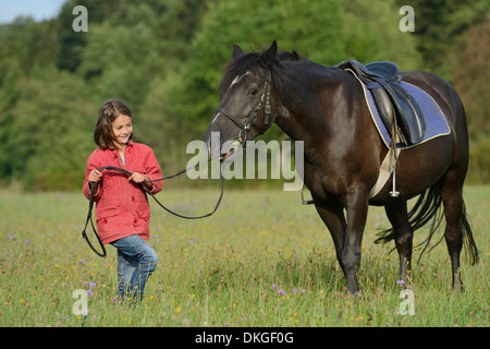 Fille avec un Haflinger arabe sur un pré Banque D'Images