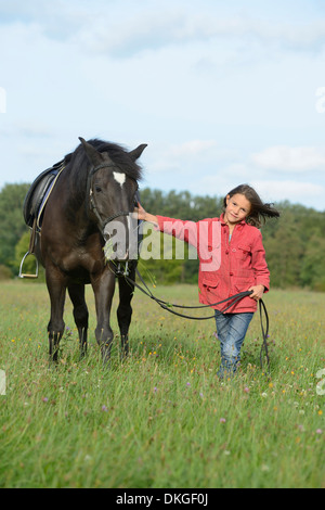 Girl avec un Haflinger arabe sur un pré Banque D'Images