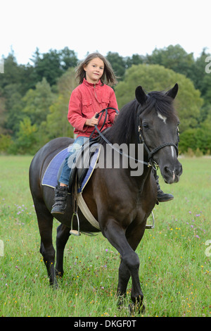 Fille sur un Haflinger arabe sur un pré Banque D'Images