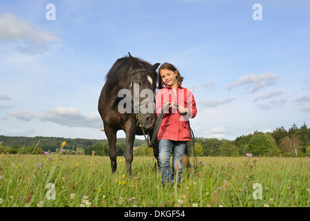 Girl avec un Haflinger arabe sur un pré Banque D'Images