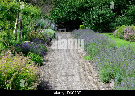 Lits mixtes mélange plantes ornementales potager muré frontières ballindoolin house plantation plante offaly scheme Banque D'Images