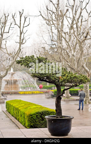 French style Fuxing Park situé dans l'ancienne Concession Française dans le quartier de Luwan, à Shanghai, Chine Banque D'Images