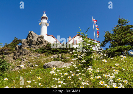 Le phare de Lobster Cove Head sur une colline couverte de daisy dans le parc national du Gros-Morne, à Terre-Neuve Banque D'Images