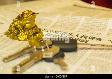 Le crapaud de l'argent et de journaux chinois clés de maison - gros plan sur le crapaud Banque D'Images