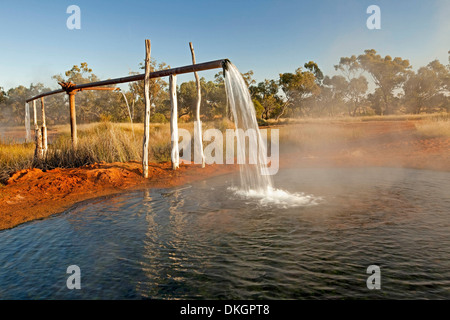 La vapeur chaude de l'eau artésienne verse de l'alésage d'un tuyau dans une grande piscine entourée d'herbe et les arbres d'or dans l'arrière-pays australien Banque D'Images