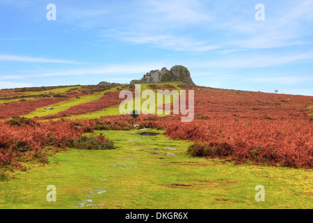 Dartmoor National Park, Devon, Angleterre, Royaume-Uni Banque D'Images