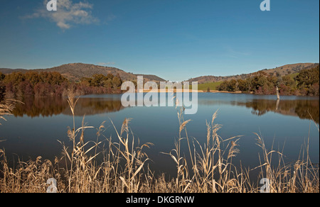 Vue spectaculaire du lac Hume, ciel bleu et les collines boisées reflètent dans l'eau de surface miroir ourlé à roseaux, NSW Australie Banque D'Images