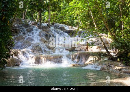 Dunns River Falls, Ocho Rios, Jamaïque, Antilles, Caraïbes, Amérique Centrale Banque D'Images