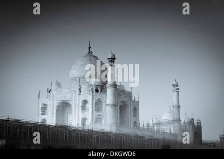 Le Taj Mahal reflétée dans la rivière Yamuna, UNESCO World Heritage Site, Agra, Uttar Pradesh, Inde, Asie Banque D'Images