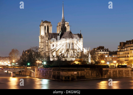 La cathédrale Notre-Dame et de la Seine la nuit, Paris, Ile de France, France, Europe Banque D'Images