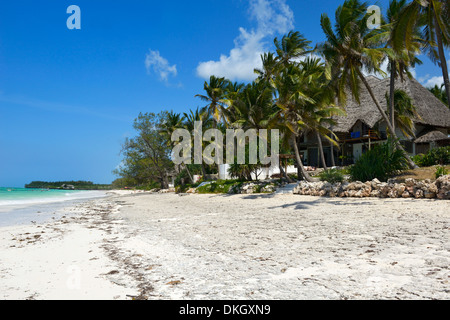 Plage de Bwejuu, Zanzibar, Tanzanie, Afrique orientale, Afrique du Sud Banque D'Images