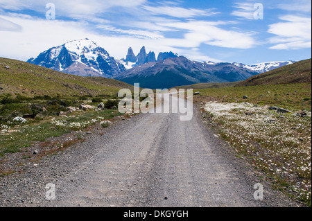 Route droite qui traverse le Parc National Torres del Paine, Patagonie, Chili, Amérique du Sud Banque D'Images