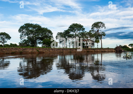 Arbres se reflétant dans l'eau dans une rivière de l'aire de conservation du Pantanal, UNESCO World Heritage Site, Brésil, Amérique du Sud Banque D'Images